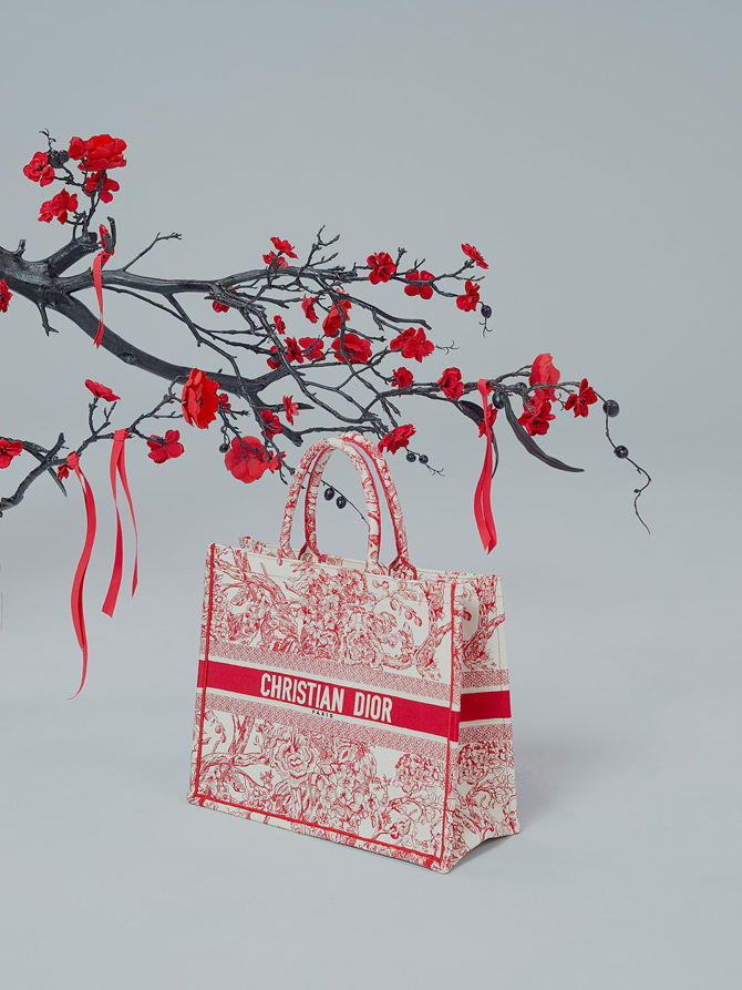 Dior-Chinese-New-Year-2019-10