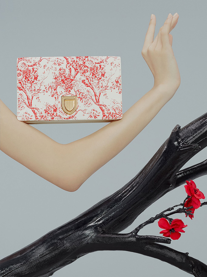 Dior-Chinese-New-Year-2019-3