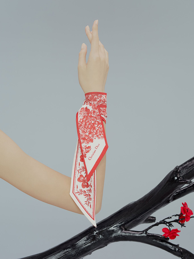 Dior-Chinese-New-Year-2019-6
