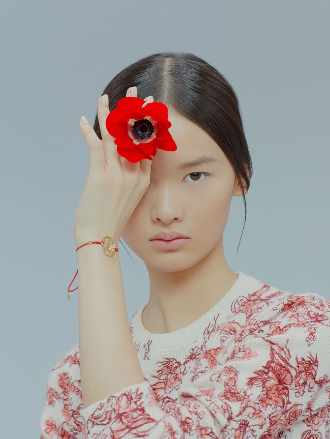 Dior-Chinese-New-Year-2019-7
