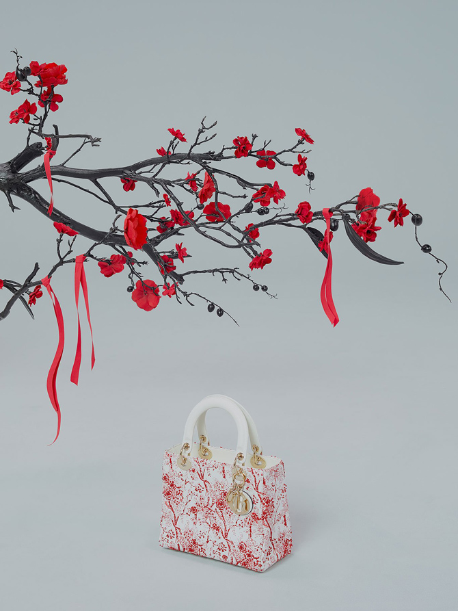 Dior-Chinese-New-Year-2019-9